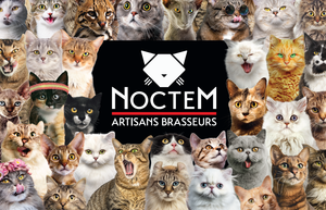 Facile faire les étiquettes chez Noctem?