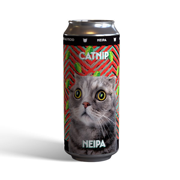 Catnip