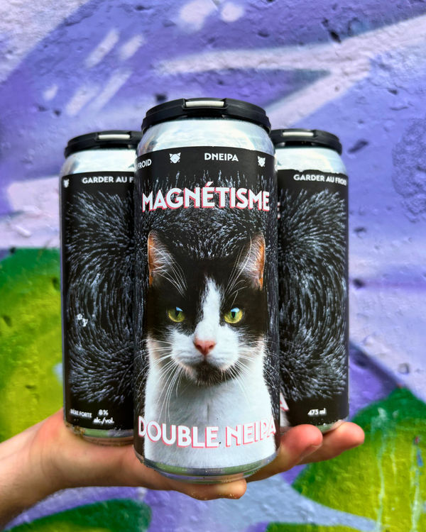 Magnétisme