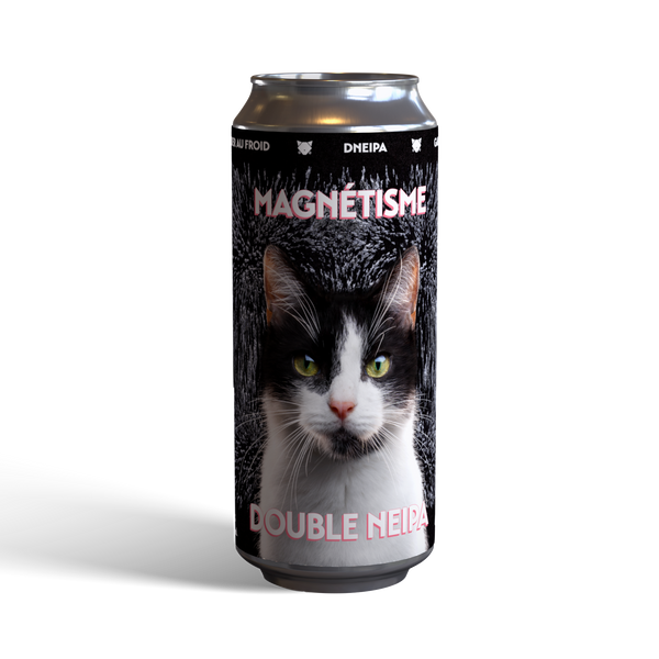 Magnétisme