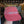 Charger l'image dans la galerie, Casquette Ciele Noctem
