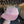 Charger l'image dans la galerie, Casquette Ciele Noctem
